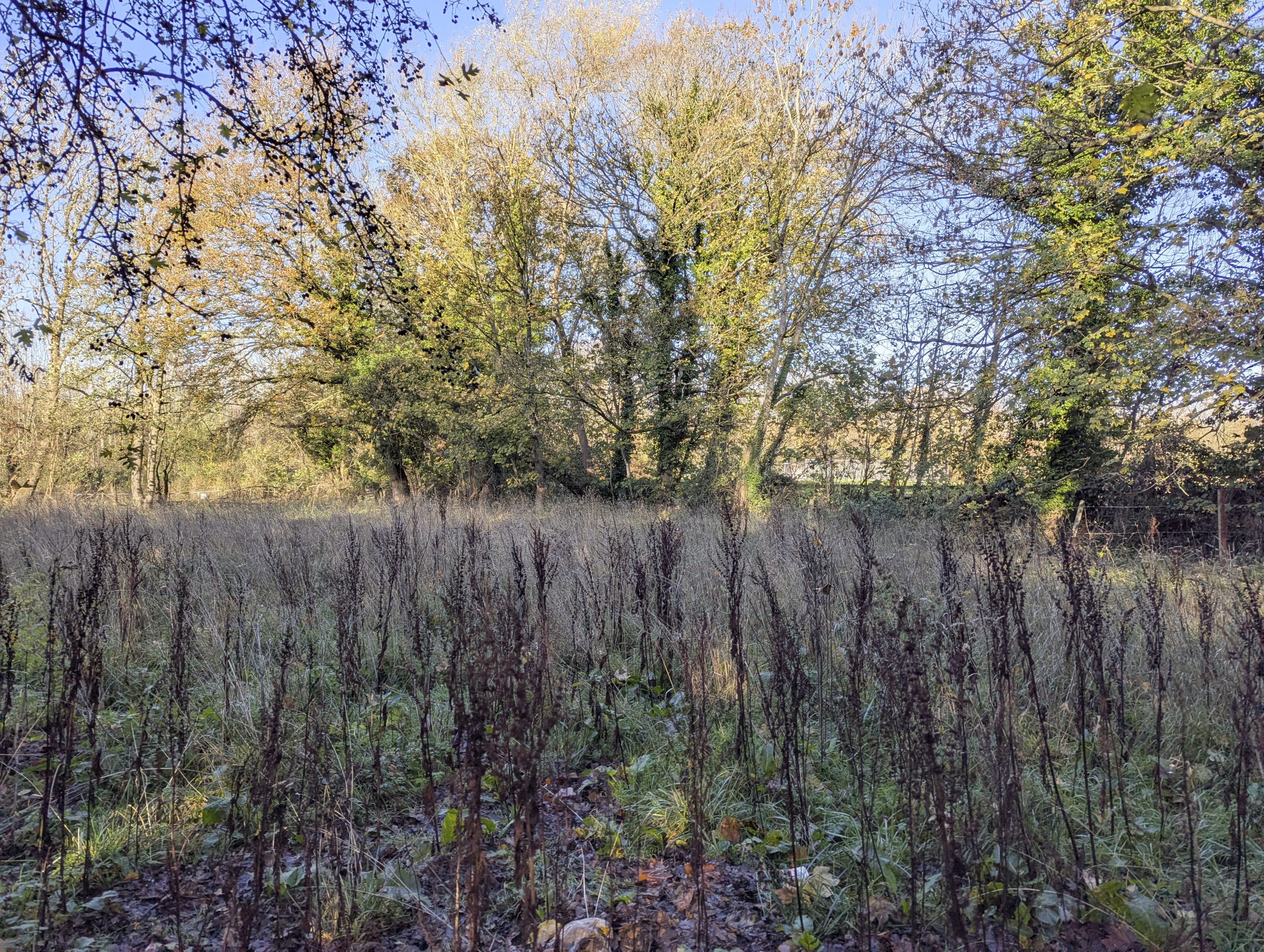'Birchall', Land off Rance Road, Upton St. Leonards, Gloucester, GL4 8AB