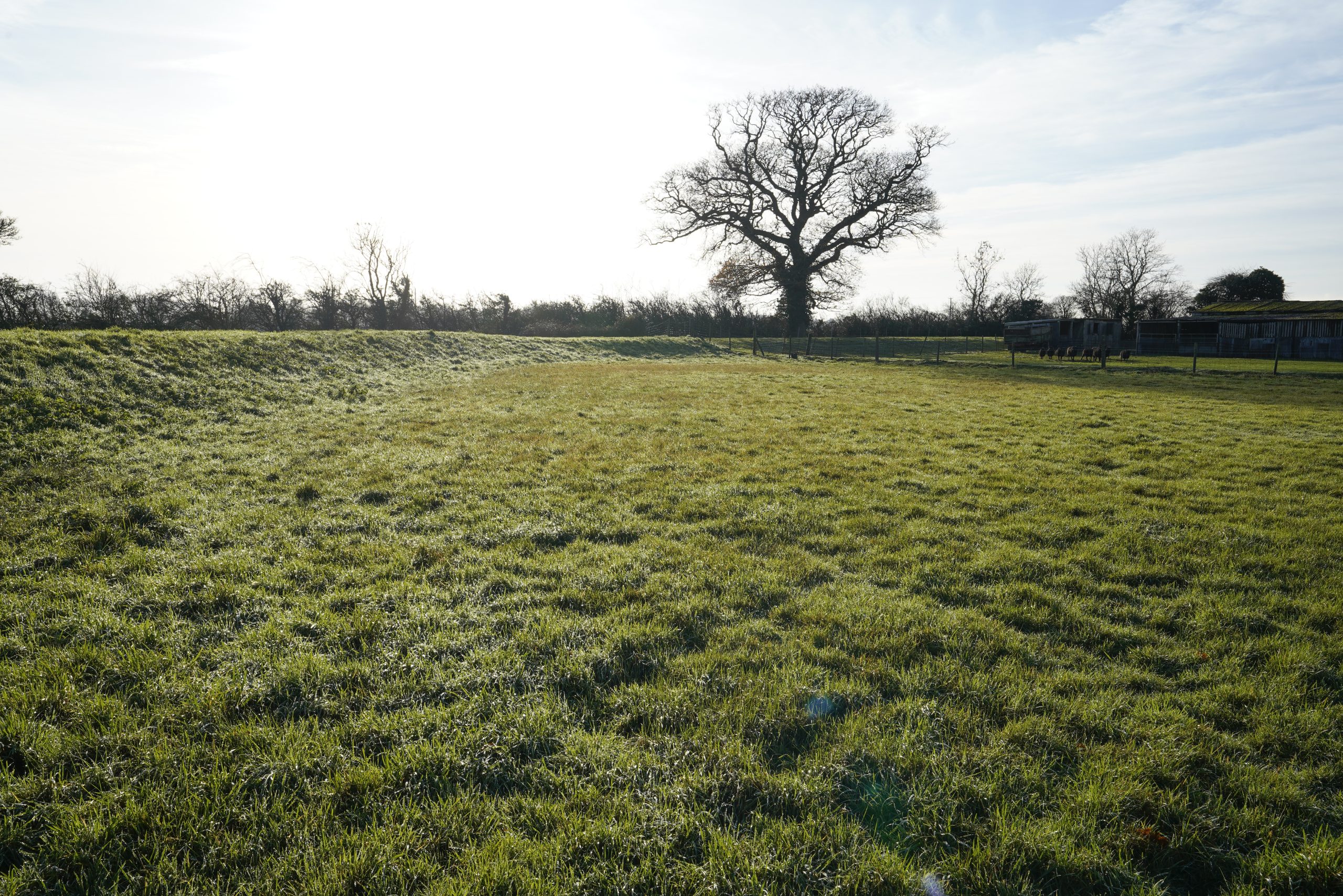 Land at Ollerton, Newark, NG23 6BP