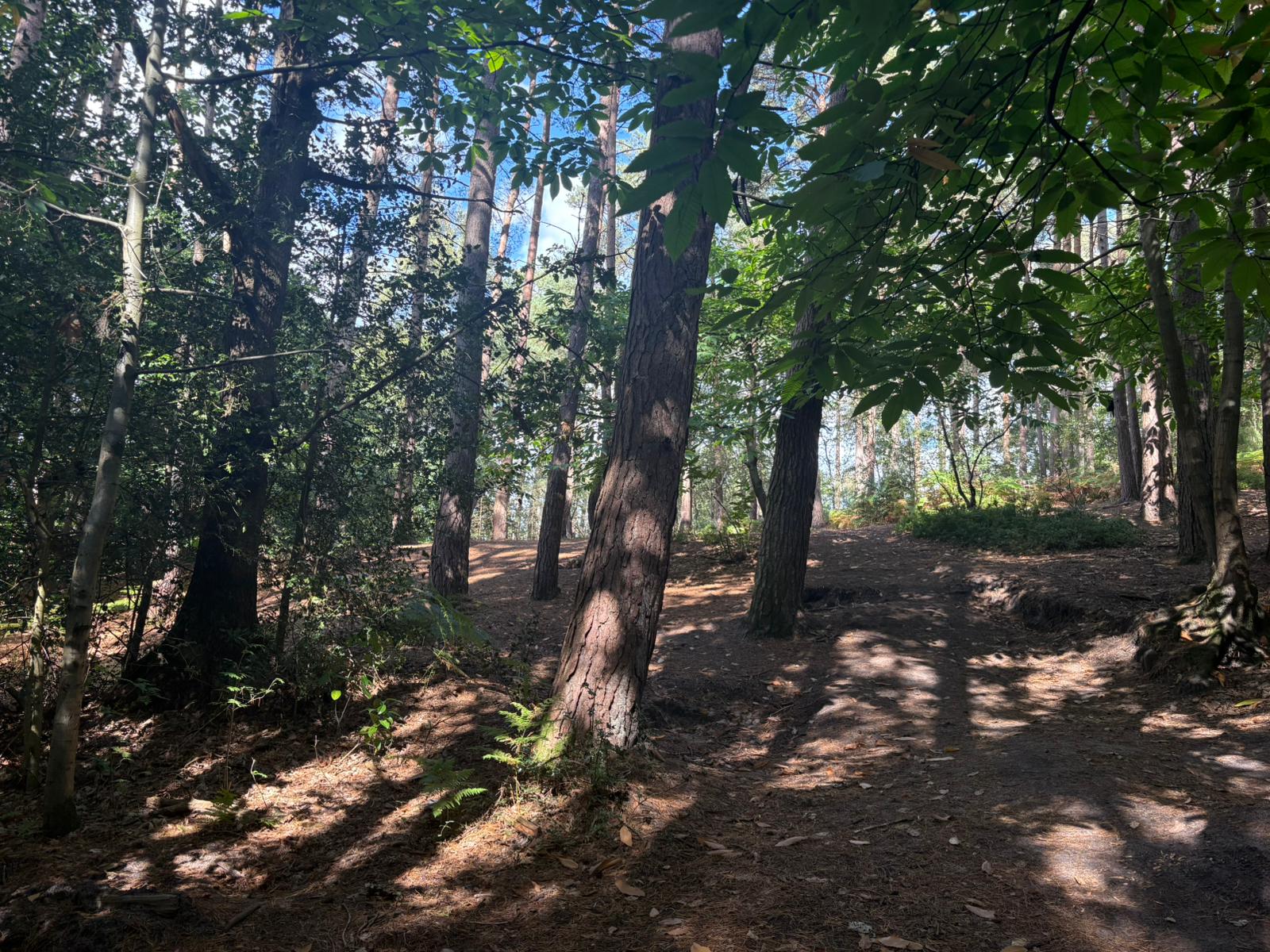 Land off Burnt Hill Road Lower Bourne Farnham GU10 3LZ