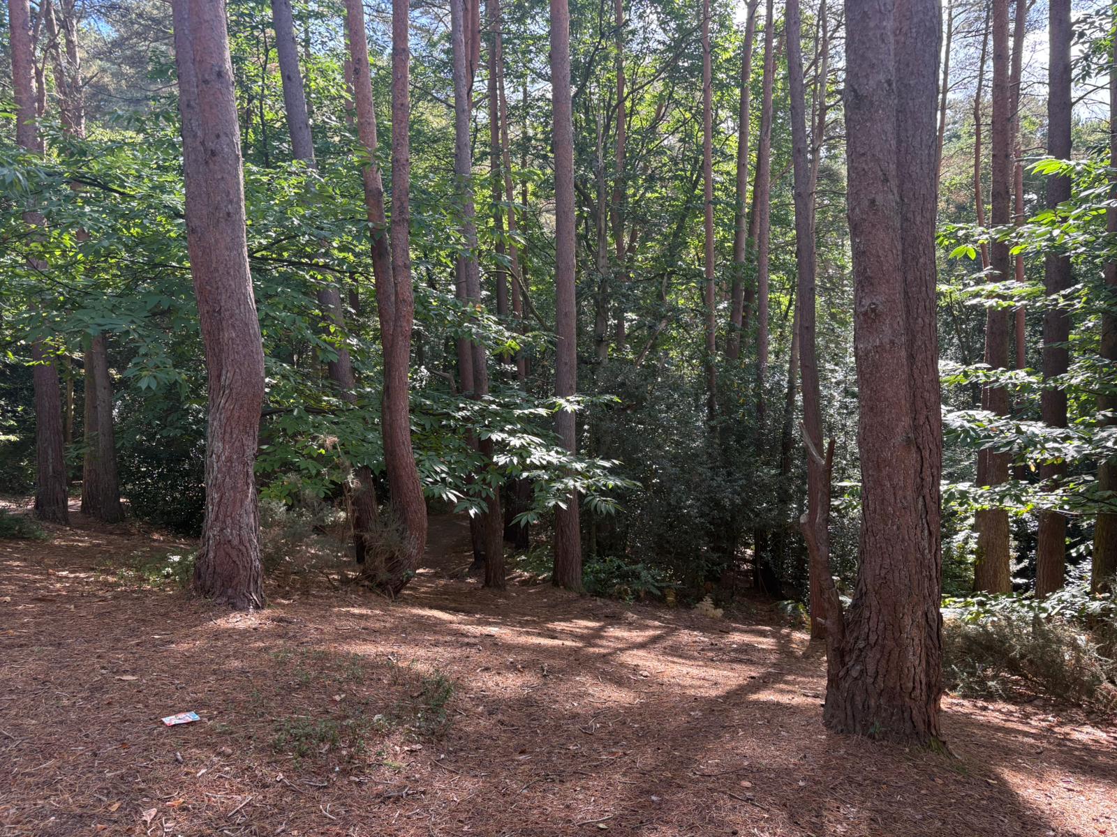 Land off Burnt Hill Road Lower Bourne Farnham GU10 3LZ