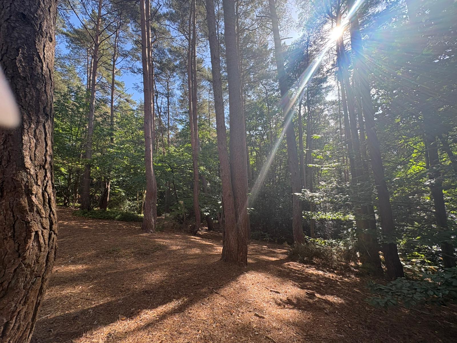 Land off Burnt Hill Road Lower Bourne Farnham GU10 3LZ