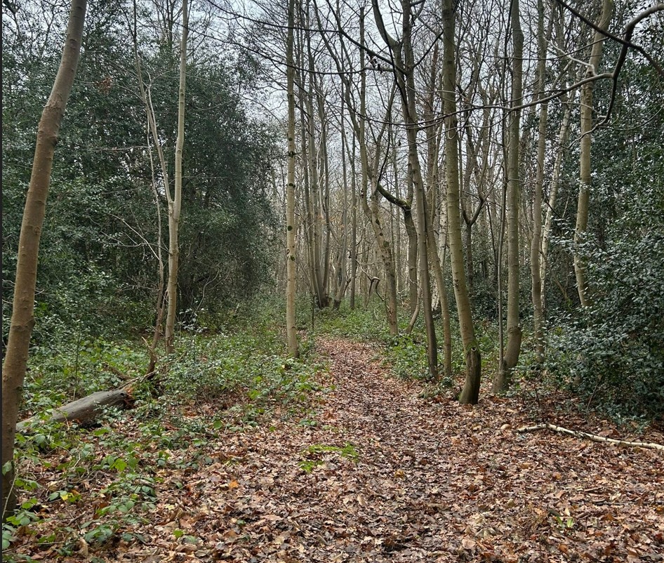 Land at Long Reach, Ockham, Woking, GU23 6PG