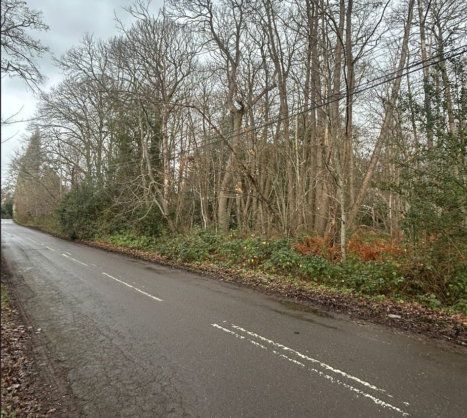 Land at Long Reach, Ockham, Woking, GU23 6PG