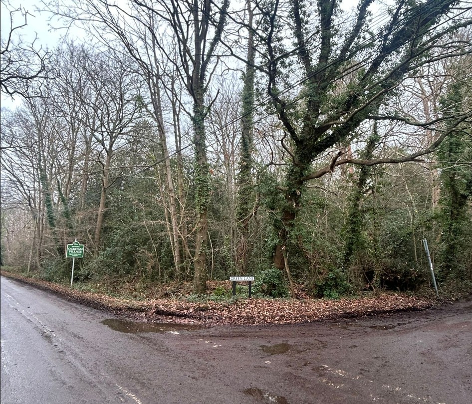 Land at Long Reach, Ockham, Woking, GU23 6PG