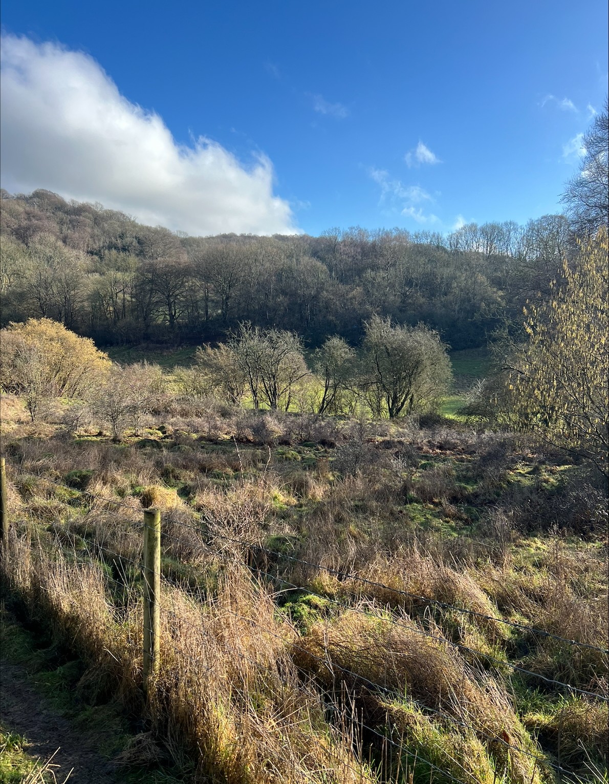 Land at Newbarn Lane, Cudham, Sevenoaks, TN14 7QH