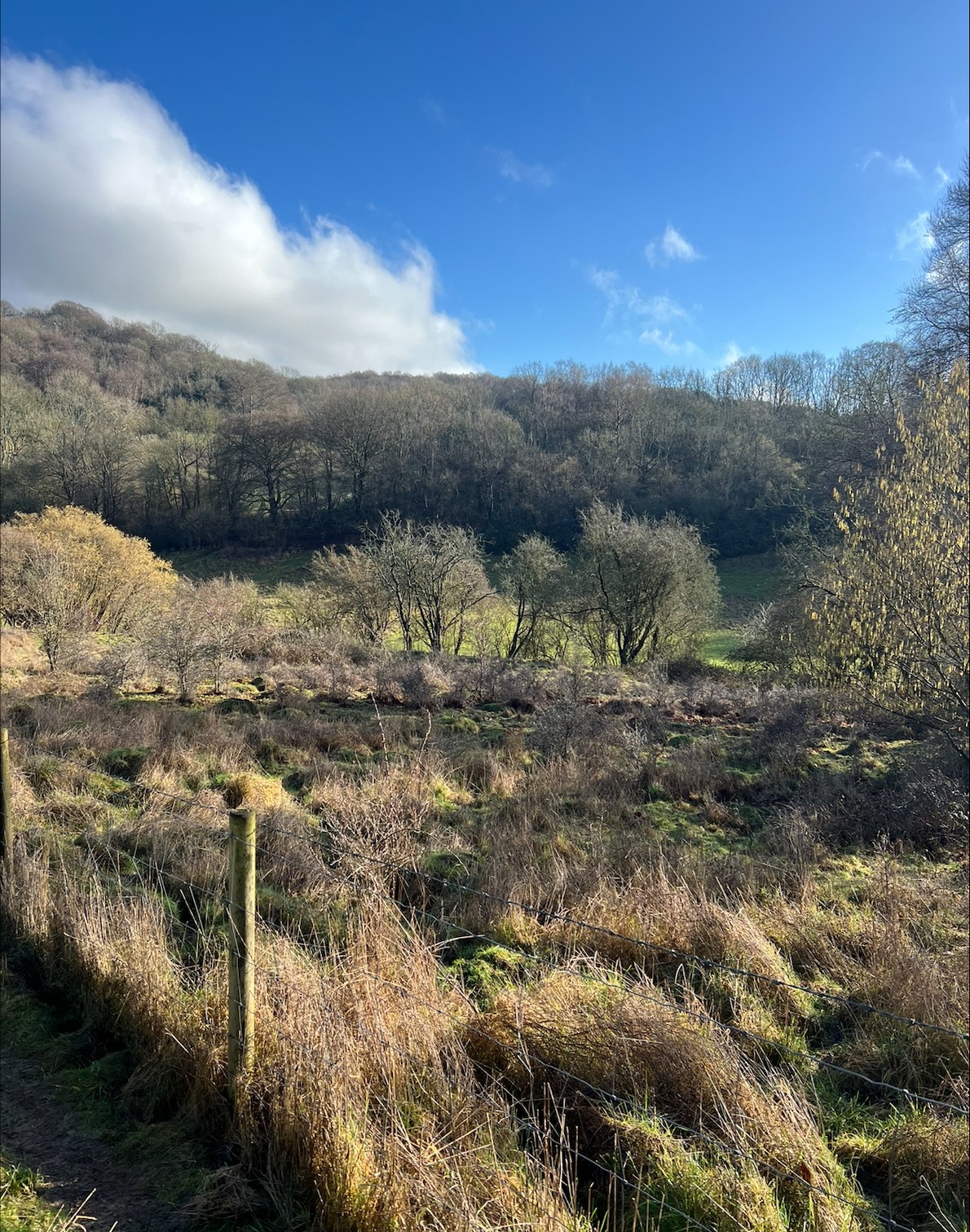 Land at Newbarn Lane, Cudham, Sevenoaks, TN14 7QH