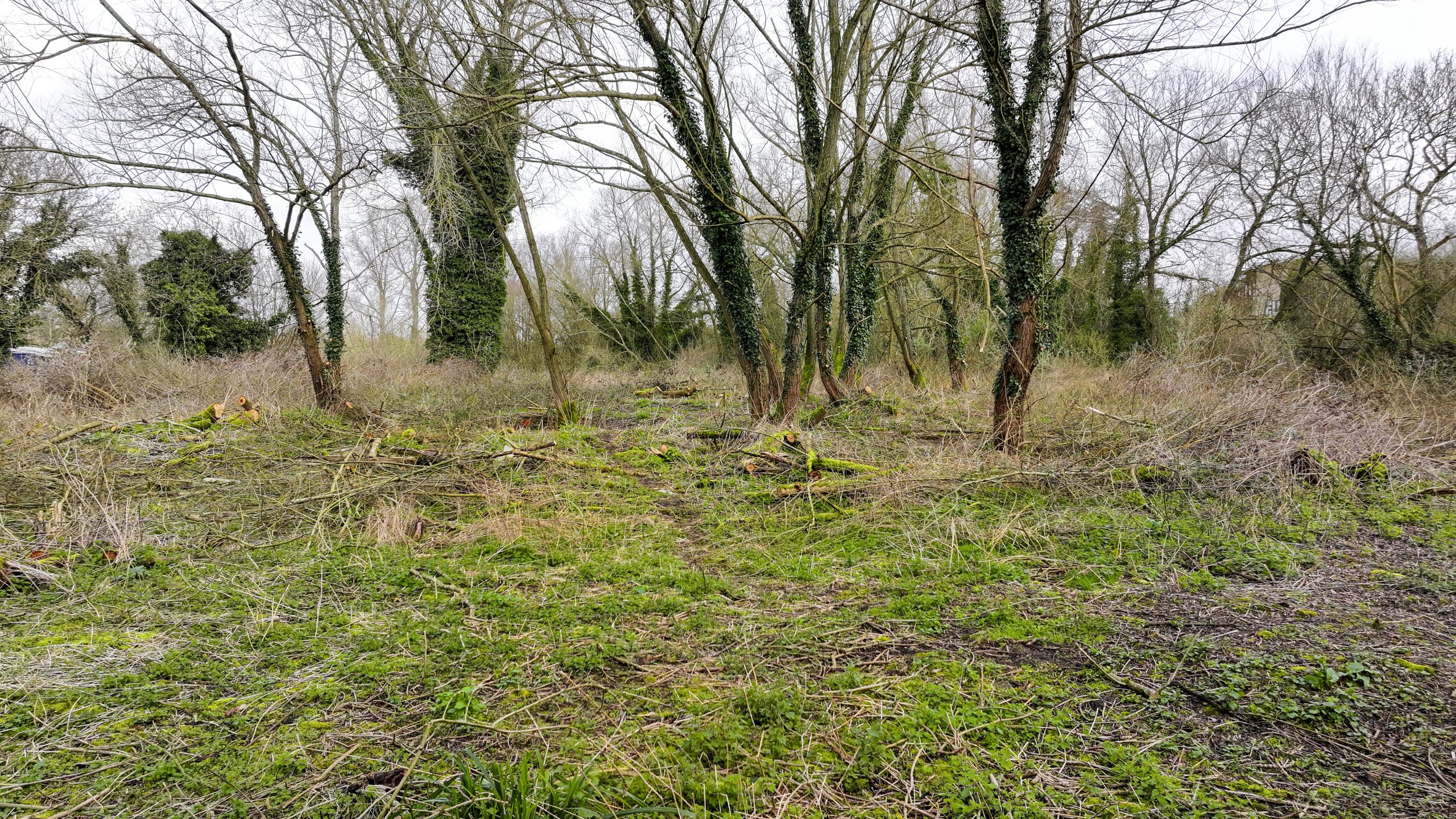 Land North East Spring Well Lane, Rickmansworth, WD3 8UX