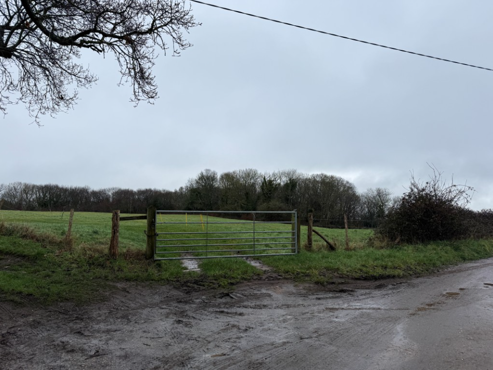 Worsham Lane, Bexhill-on-Sea TN40 2QP, UK